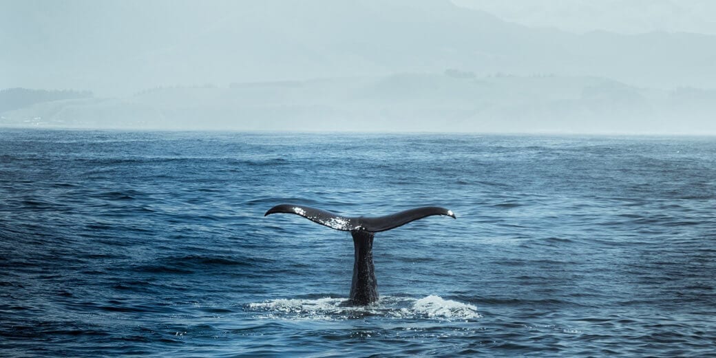 digitalocean-docker digitalocean-docker