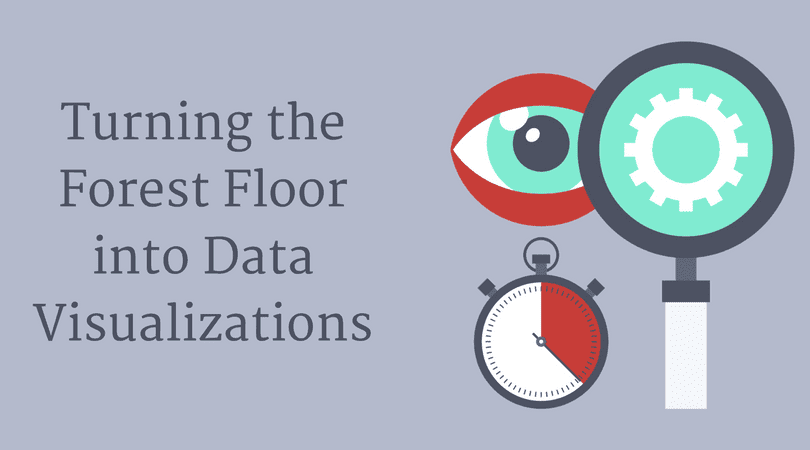 Turning-the-Forest-Floor-into-Data-Visualizations-1