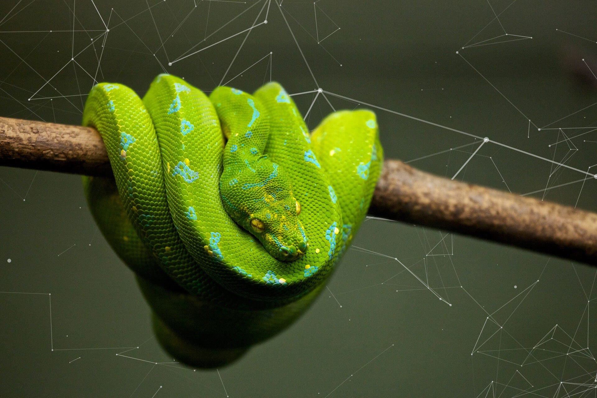 python-data