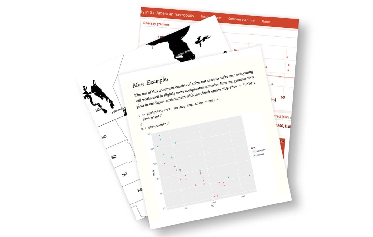 R Markdown image