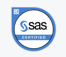 SAS Visual Business Analytics Using SAS Viya