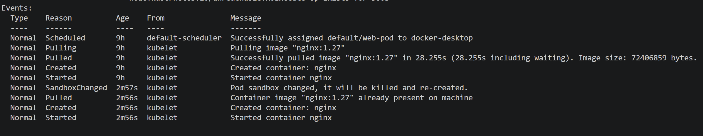 kubectl describe pod output for a failing Pod