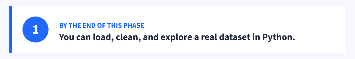 Phase 1 milestone: you can load, clean, and explore a real dataset in Python