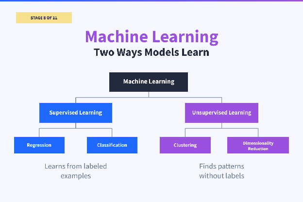 Stage 8 of 11, machine learning, splitting into supervised learning (regression and classification, which learn from labeled examples) and unsupervised learning (clustering and dimensionality reduction, which find patterns without labels)